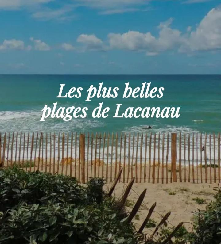 L'Ocean&Dunes Vue A 180° En Bord De Plage ラカノー エクステリア 写真